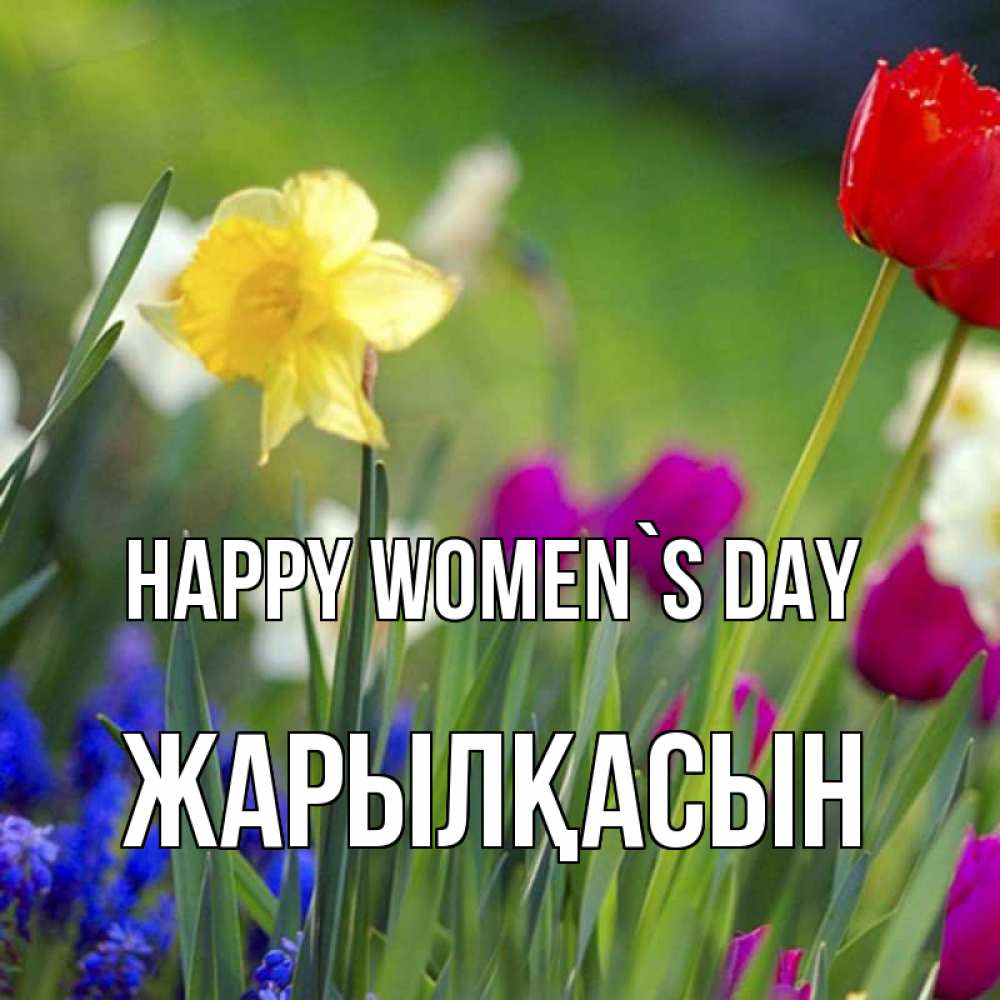 Greetings card с именем, Жарылқасын happy women`s day международный женский день 3 Greetings with text for free download 